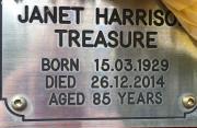 Janet Harrison Treasure.jpg