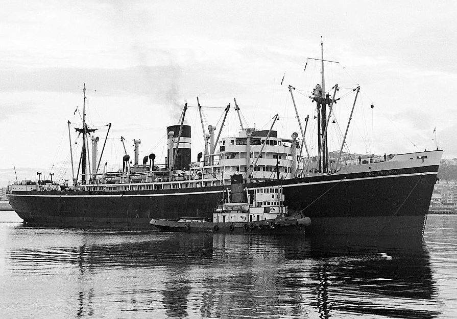 SS Carpentaria.jpg