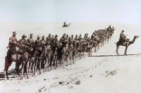 Camel Corps aussies.jpg