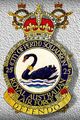 No 25 Squadron badge.jpg