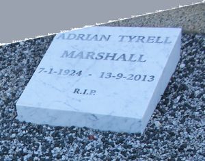 Adrian Tyrell Marshall.JPG